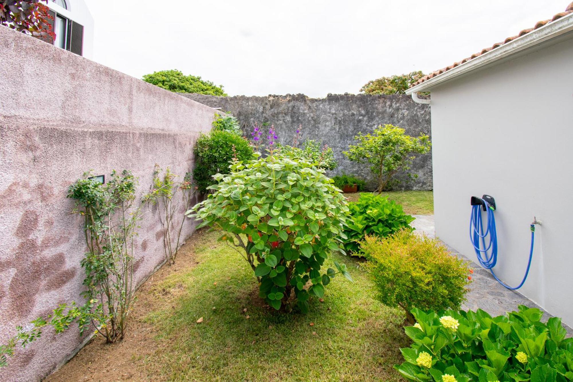 Atlantic Sao Paulo - Nature In The City 蓬塔德尔加达 外观 照片